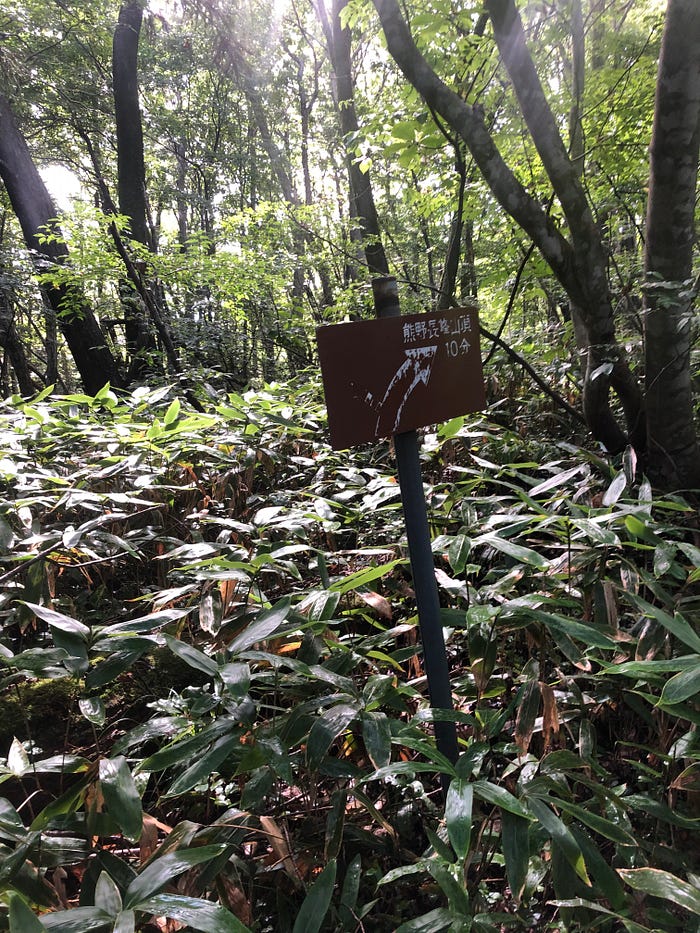 A sign pointing the way on a path deep in the middle of a jungle-like forest on Mt. Kumanonagamine, one of the 100 Famous Mountains of Yamagata in Tohoku, north Japan.