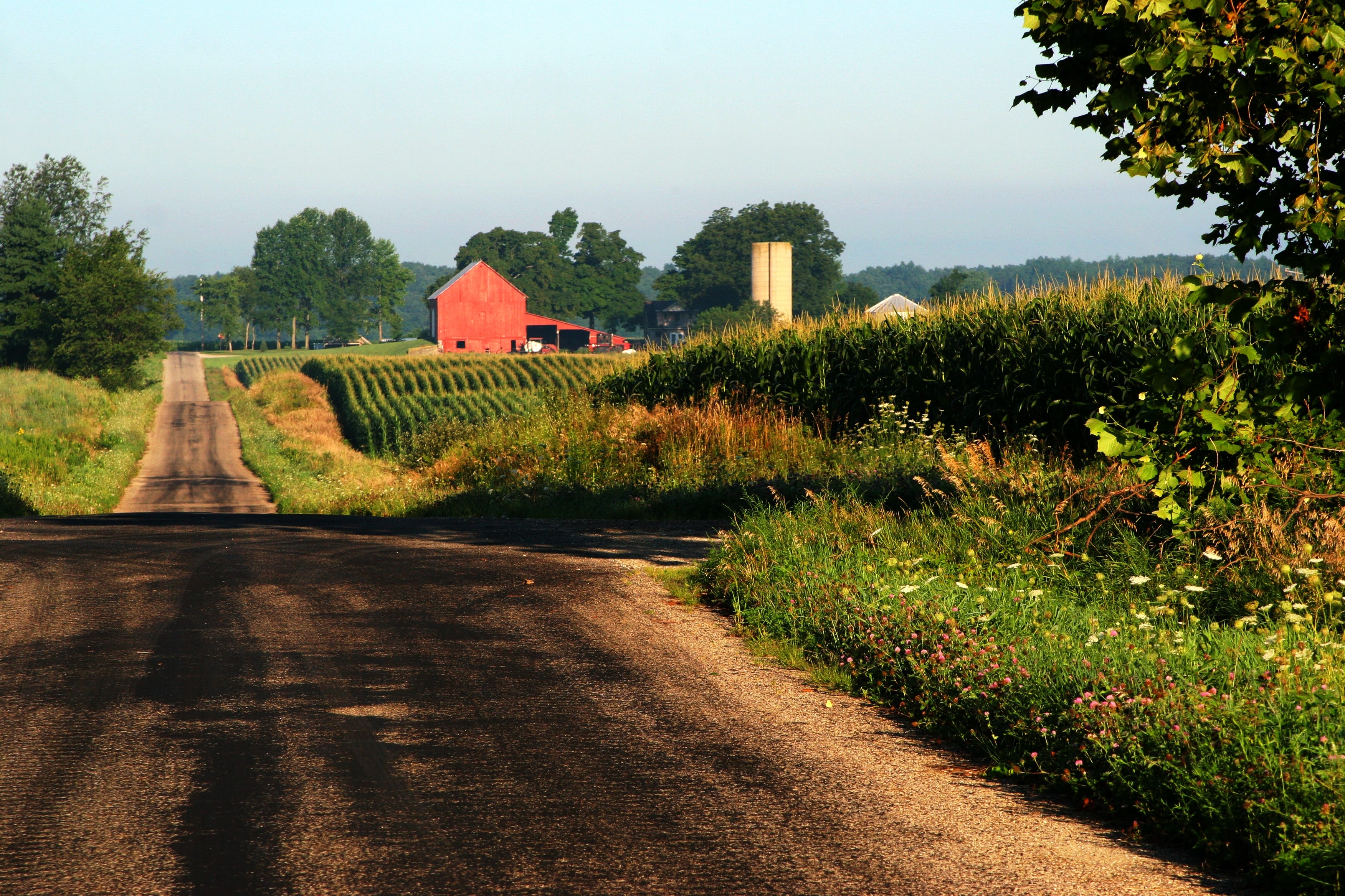 Who is Indiana?. Here is some interesting demographic… | by Neil Miller ...