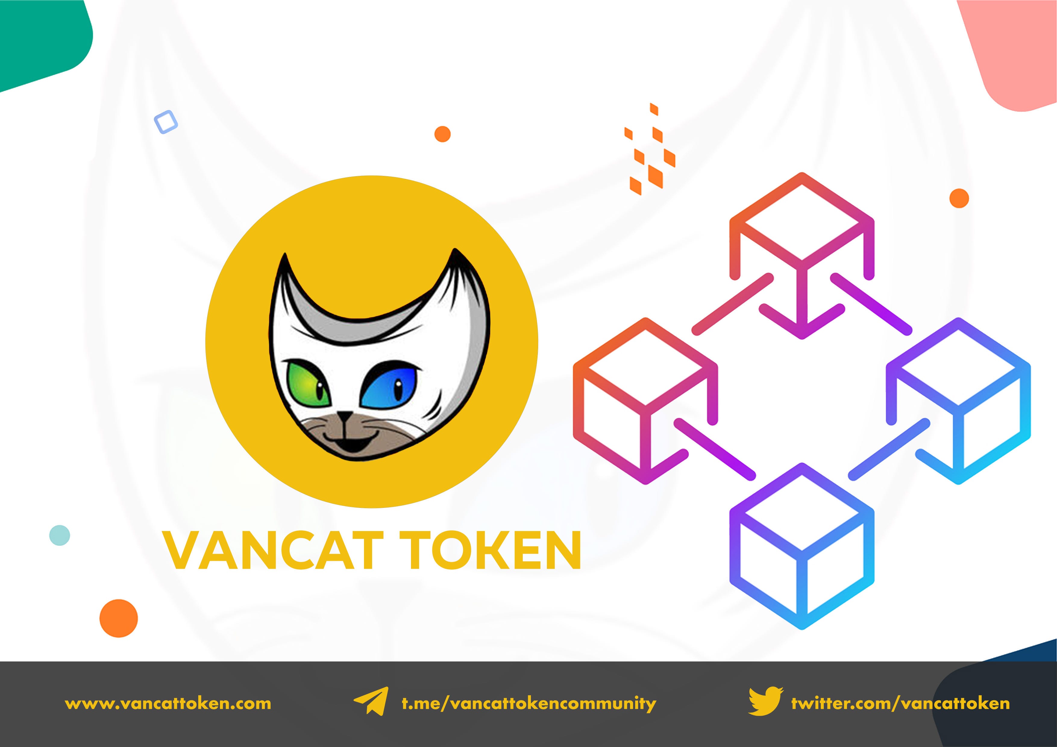 Vancat Token Platform The Game Changer Nft Project By Vancat Token Platform Medium Vancat Token Platform The Game Changer Nft Project By Vancat Token Platform Medium