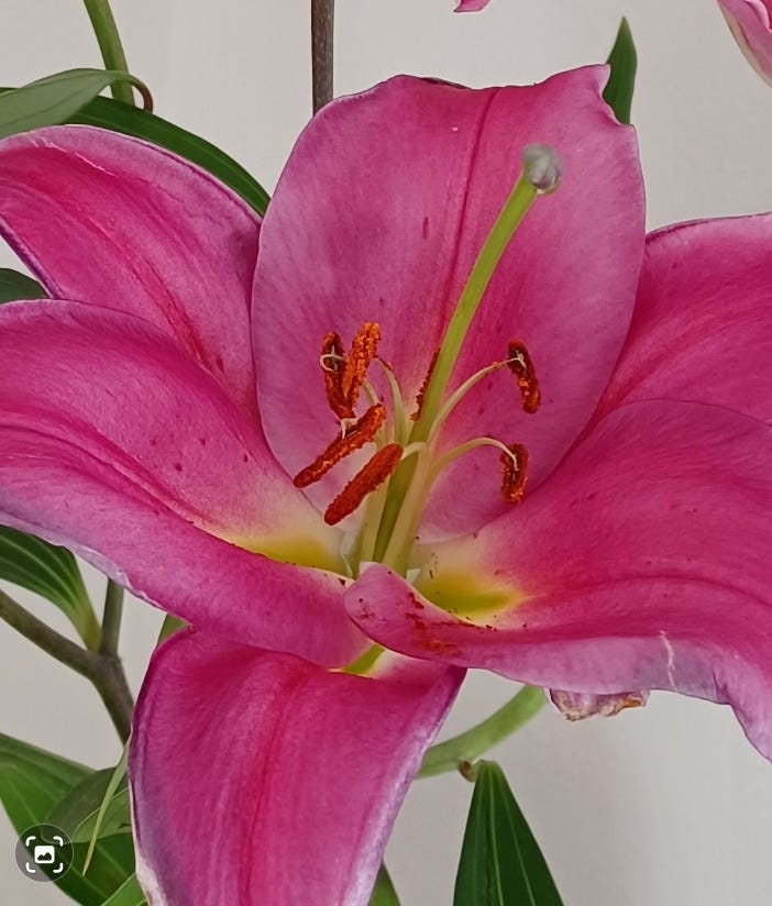 Life’s Unanswerable Questions. The 17 Questions I Ask Myself in Secret ...