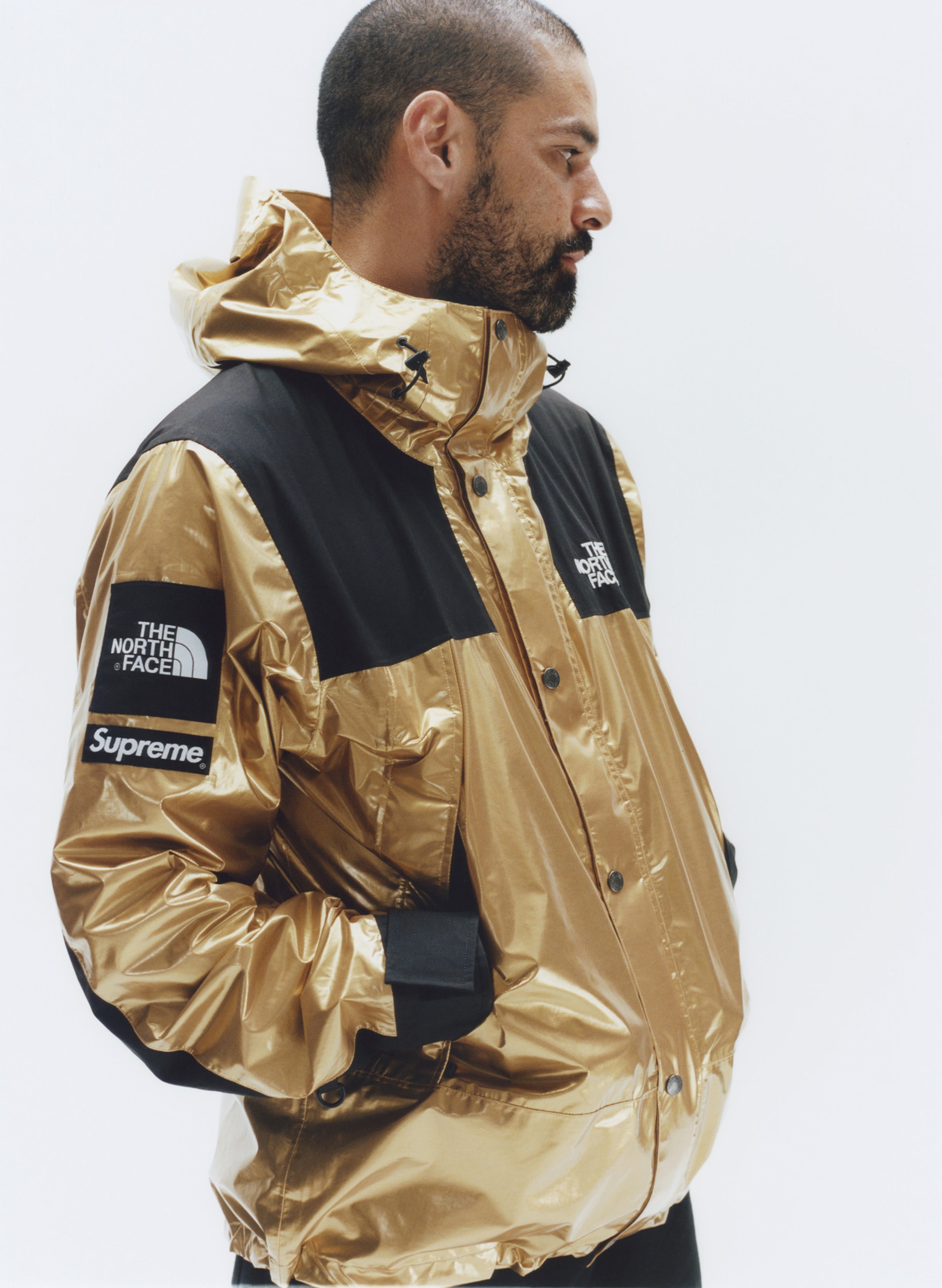 supreme the north face 2018