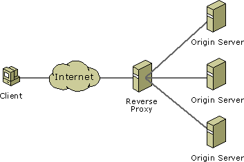 Implementing Reverse proxy using Netty | by Chamil Elladeniya | Medium