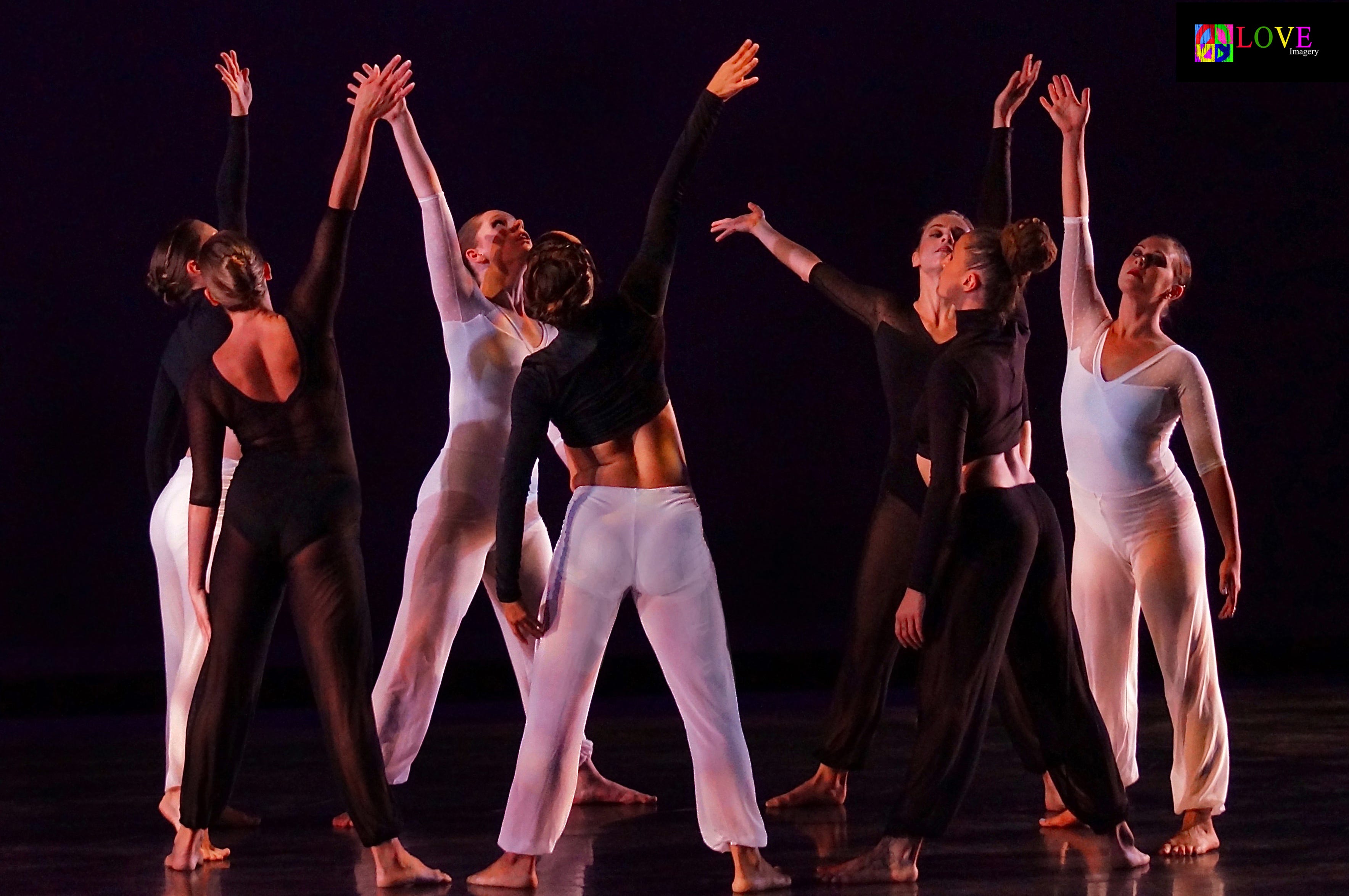 New Jersey Dance Companies Reach for the Stars at Rutgers! by Spotlight Central Spotlight