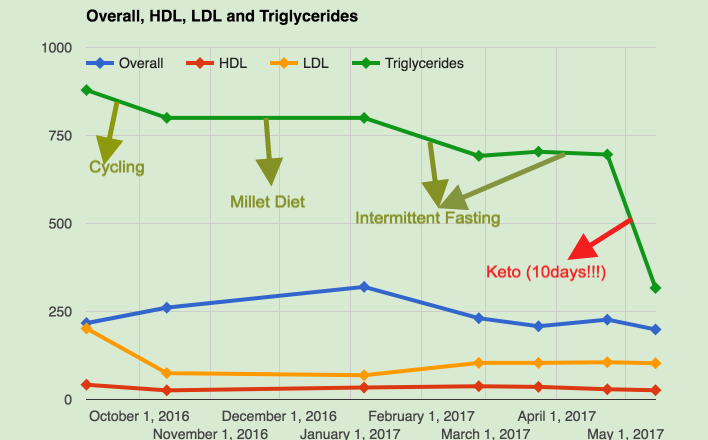 Keto & Triglycerides | by Prashanth HN | Medium