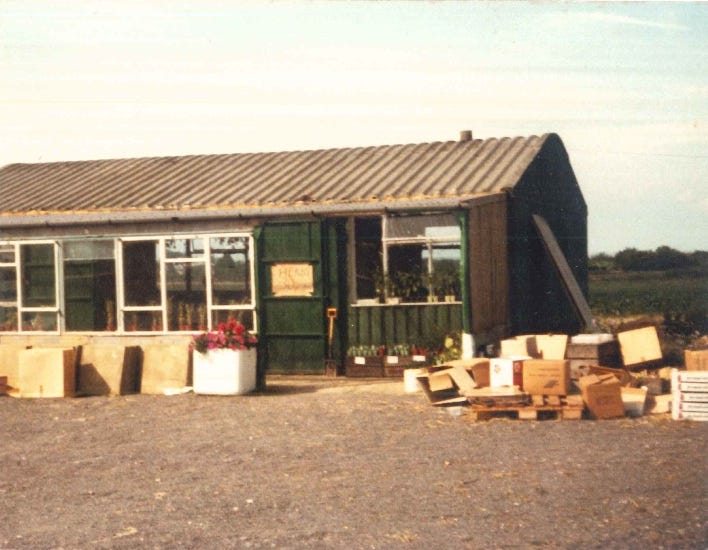 Fir Tree Farm Family Neame Medium