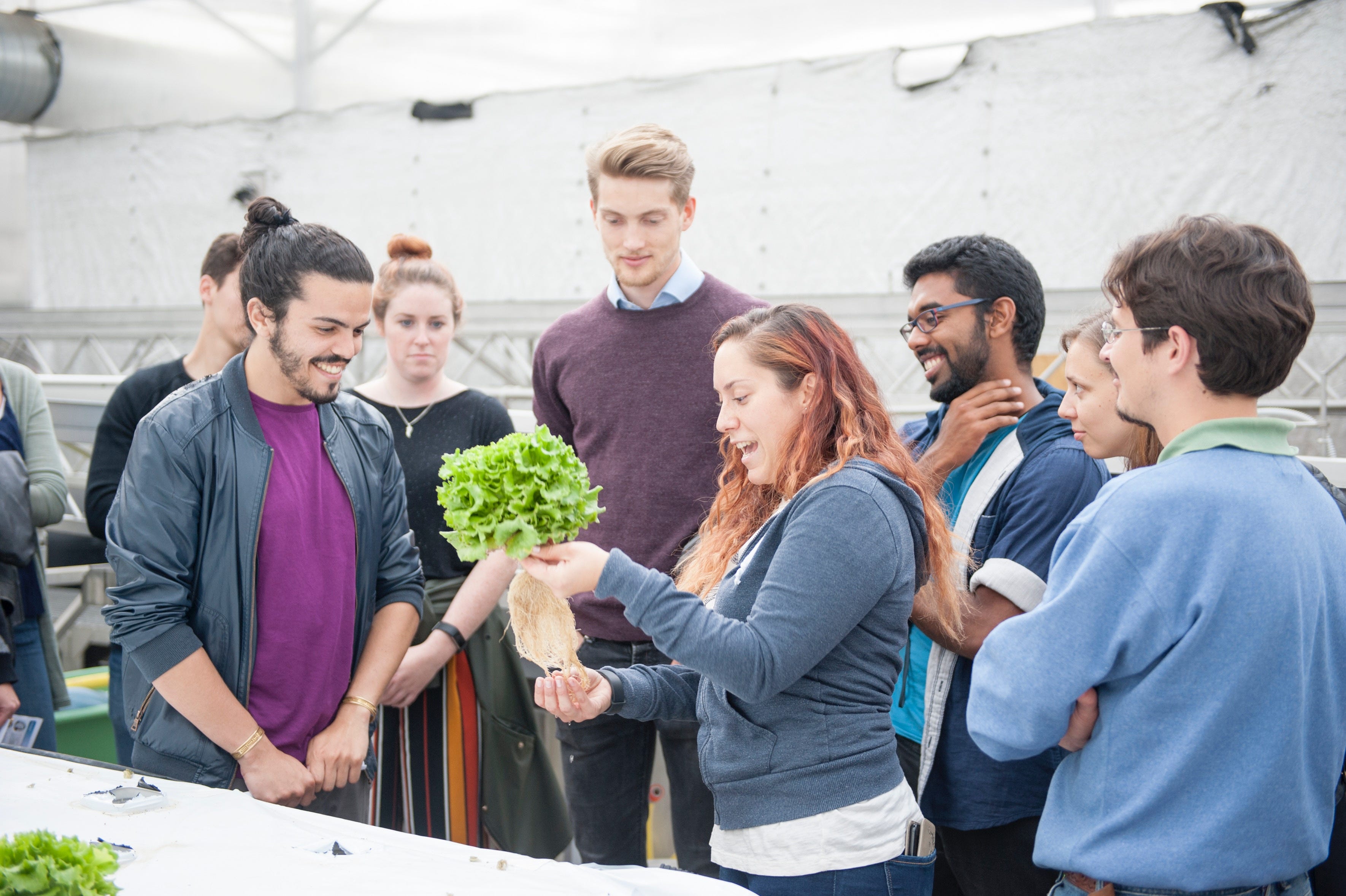 eco-professionals: the next generation normal