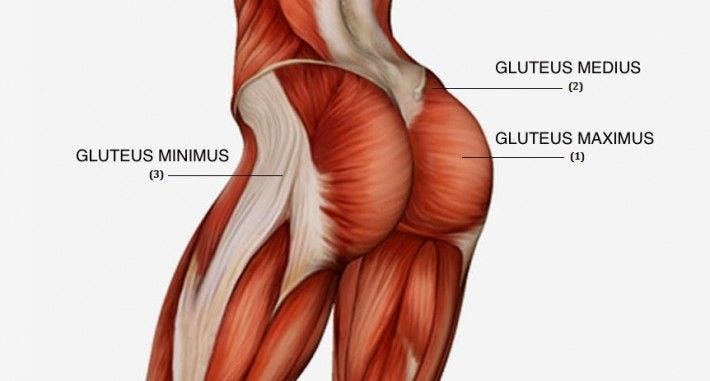 Why Here S The Reason Why You Yave To Train By Evaldir Medium