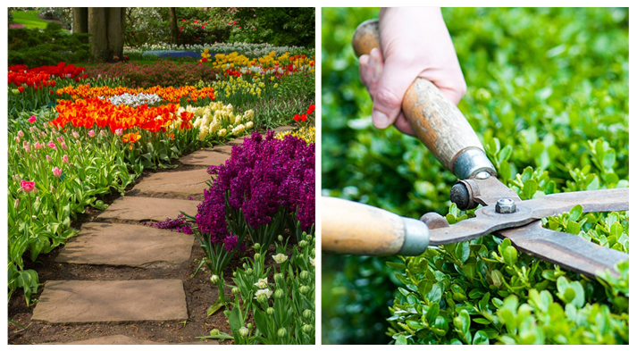 Lawn Care College Station Tx Lawn Maintenance Includes By Maroon Mowing Medium