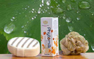 phytomilk moistourizer destina1