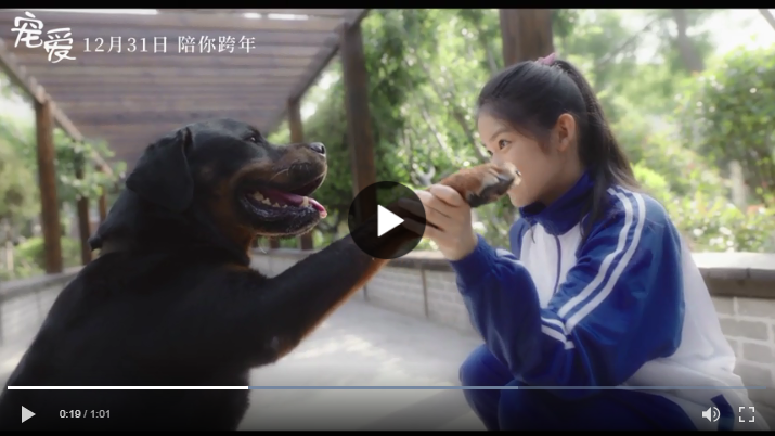 宠爱完整版 19 在线观看和下载完整电影 宠爱完整版本 Adoring 19 電影完整版 By Warren Donovan Medium