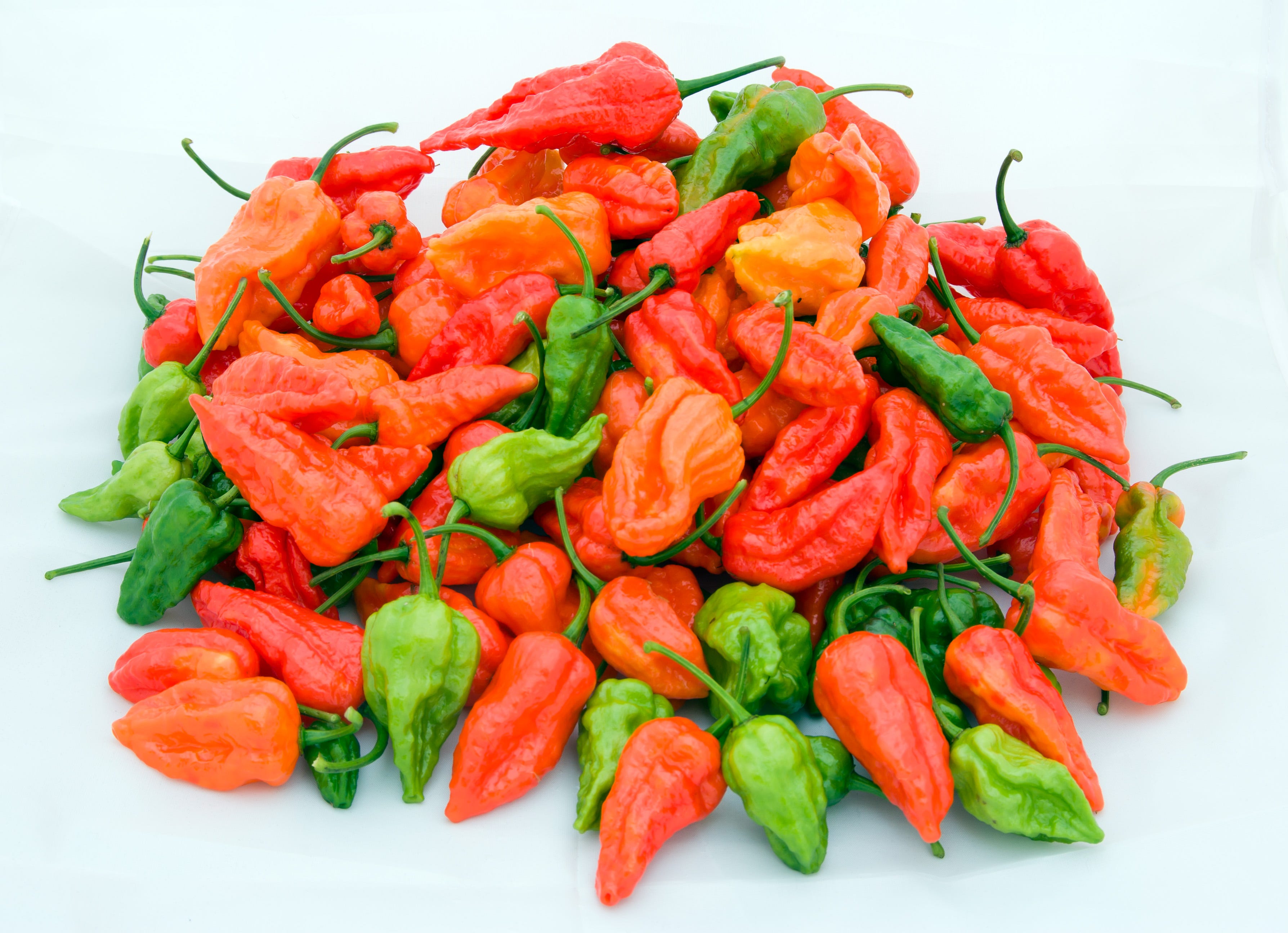 The Quest For The Hottest Chilli On Earth Almost Killed Me | by Elmo Keep |  Medium