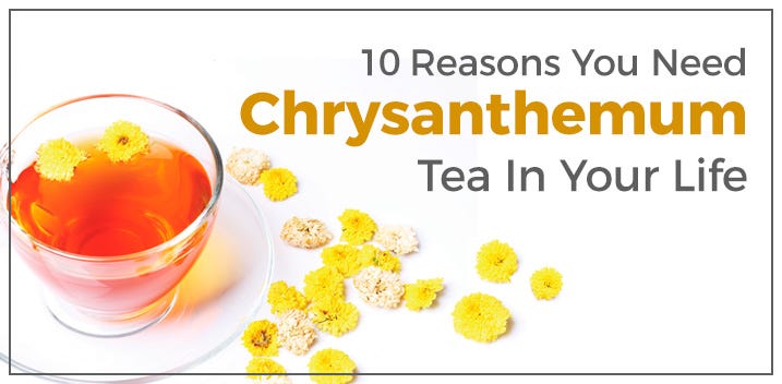 10 Health Benefits Of Chrysanthemum Tea By Oksana Ostrovsky Medium