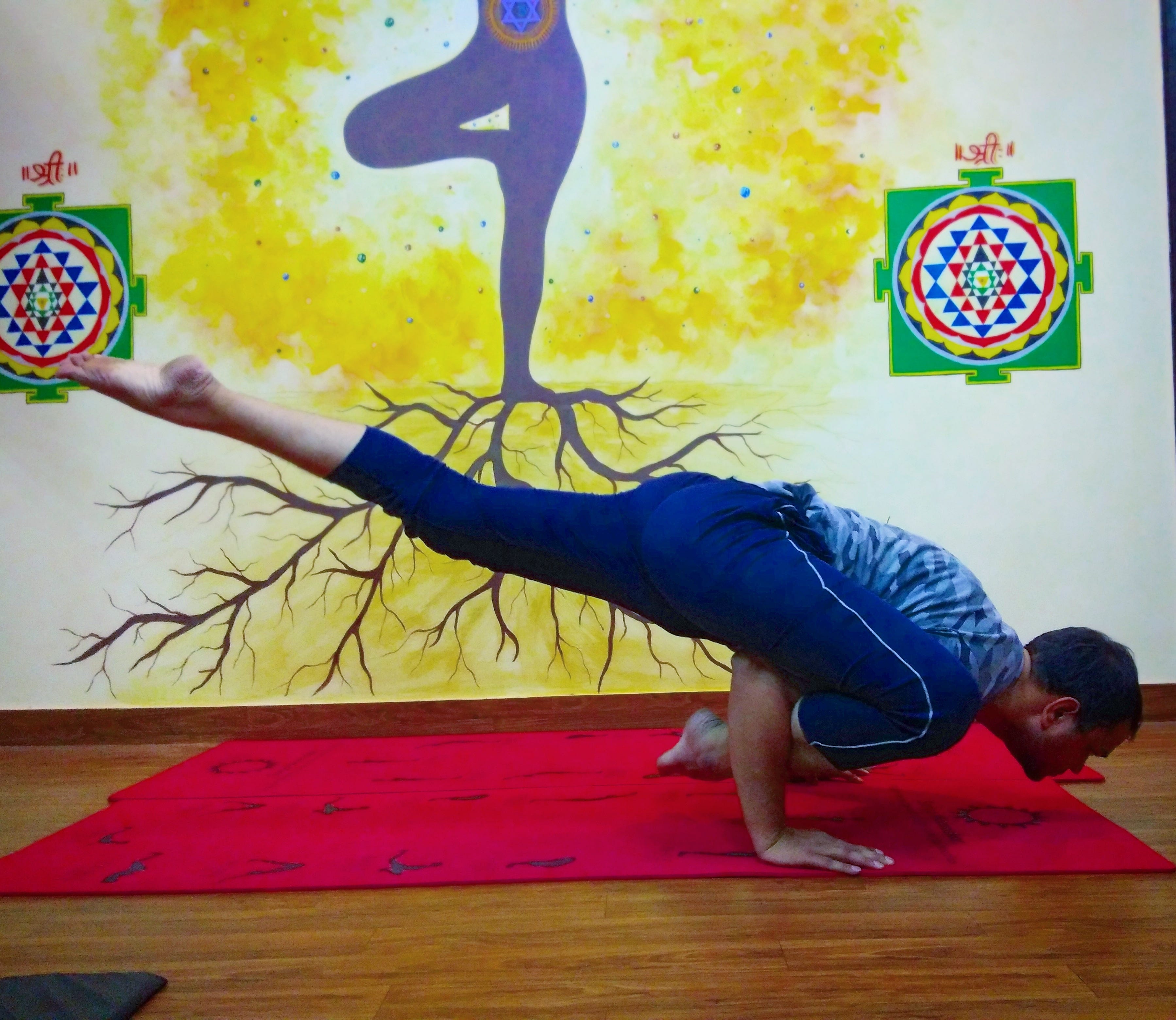 Flying Lizard Pose. Definition — What does Flying Lizard by Flying Lizard Pose. Definition — What does Flying Lizard by