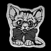 Uncle Cat!