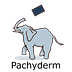 Pachyderm Data