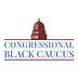 The Black Caucus