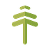 Pine Biotech