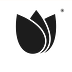 Sesameseed Blog