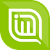 involveMINT