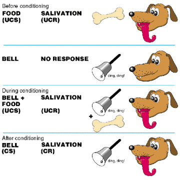 Classical Conditioning And Operant Conditioning Explained By Josh Pitts Medium