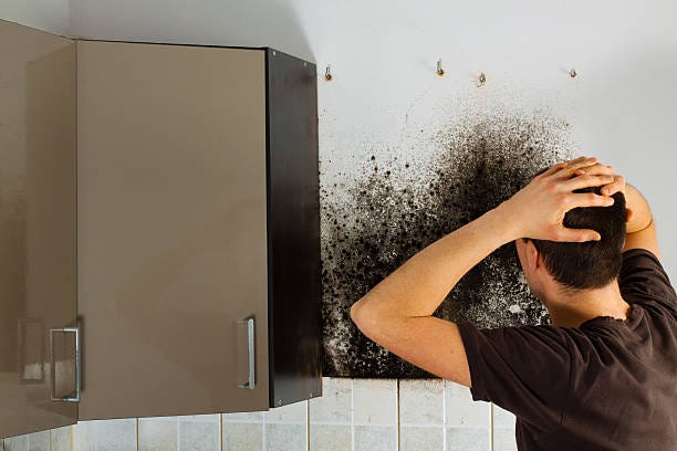Benefits Of The Mold Inspections Samanthagill689hf Medium Do You Need A Mold Inspection Or Testing Service There Are Several Companies Which Destined In The Provision Of Best