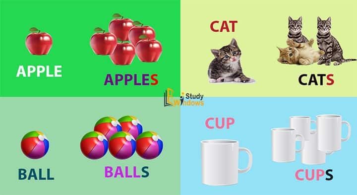 Let S Check The Explanation Of Singular And Plural Noun Through Examples Rules And List Neilpetter Medium Let S Check The Explanation Of Singular And Plural Noun Through Examples Rules And List Neilpetter Medium