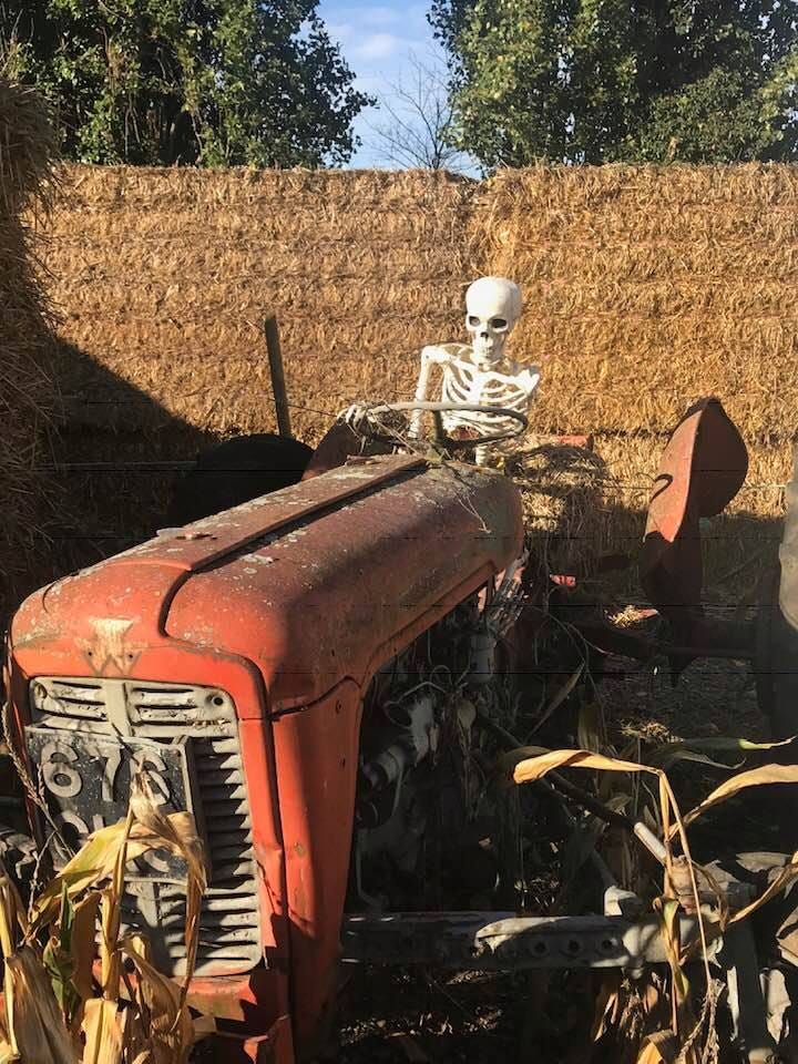 Broadwitch Hauntfest A Review I Love Halloween By Dj Cooper Medium