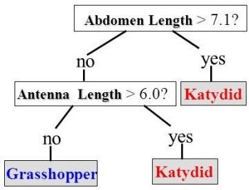 Decision Tree for Grasshopper and Katydid problem