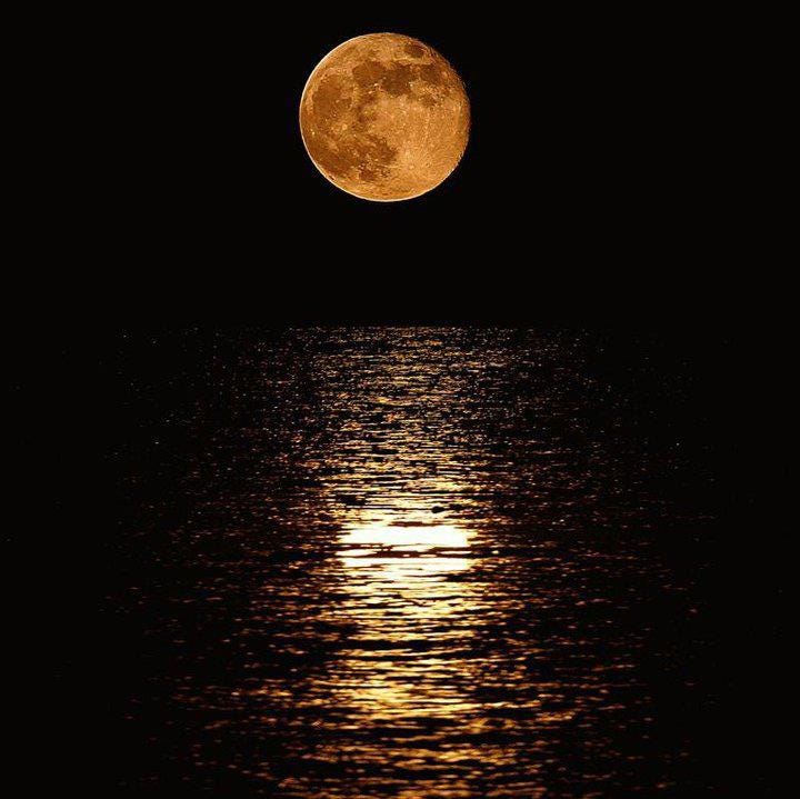Tricky Despair And A Full Moon Over The Ocean By Valerie Anne Burns Medium