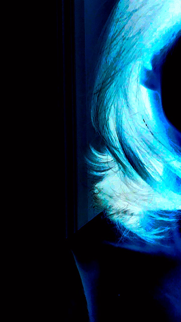 What I Learned Obsessively Cutting My Hair in Lockdown | by J.A. Pak |  Triple Eight Palace of Dreams & Happiness | Medium