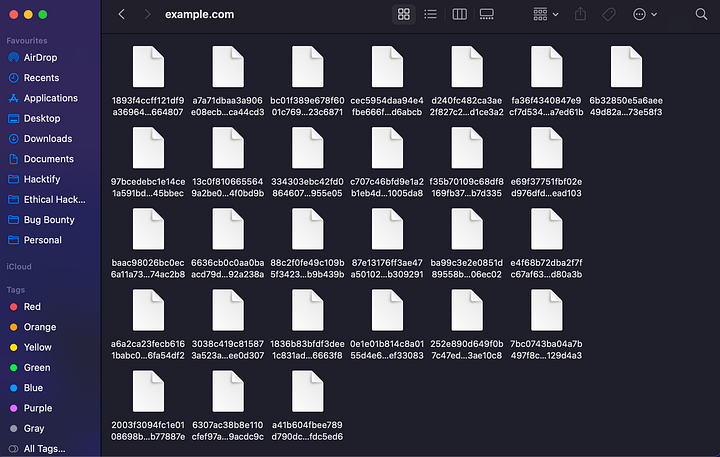 File List Created for the host xyz.com with request and response