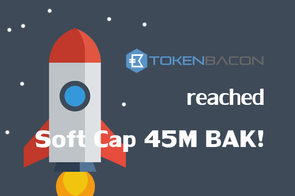 Hasil gambar untuk what is tokenbacon