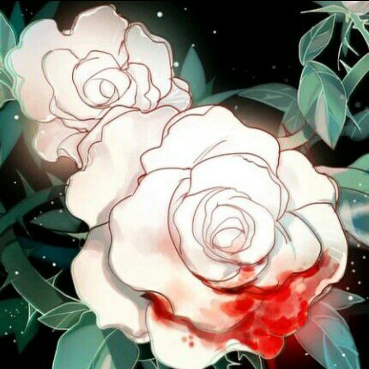 花語系列短文 雙生花 By Cy Medium