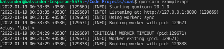 Output for running API with gunicorn
