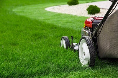 why you should include lawn maintenance in your landscaping budget