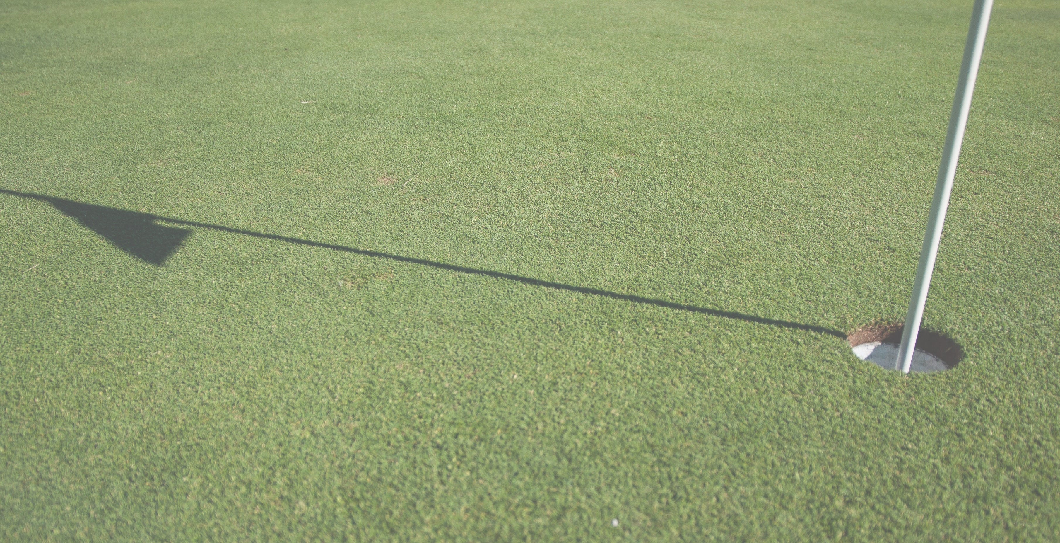 What The Movie Caddyshack Taught Me About Business Vijoy