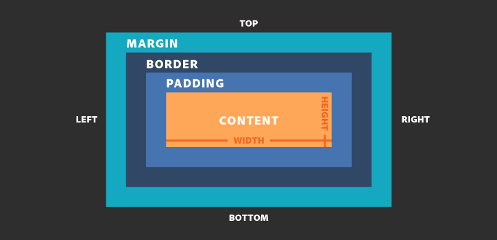 CSS: The Box Model.. When laying out a document, the… | by Mayank Agnihotri  | Medium