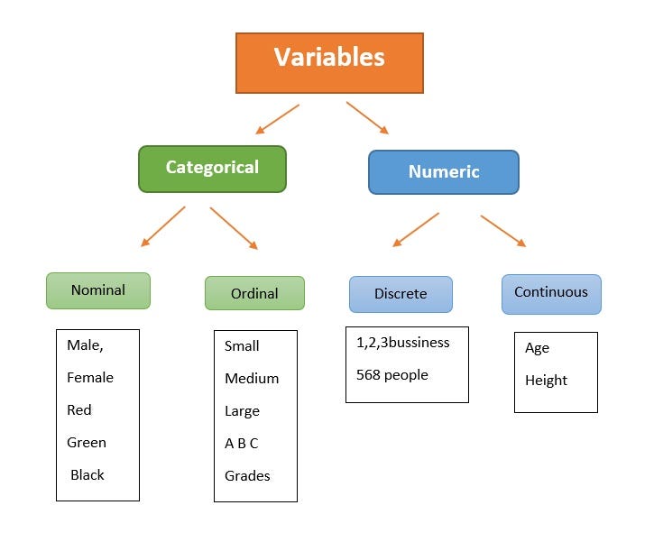 Types Of Variables Categorical Vs Numeric By Qaz Medium