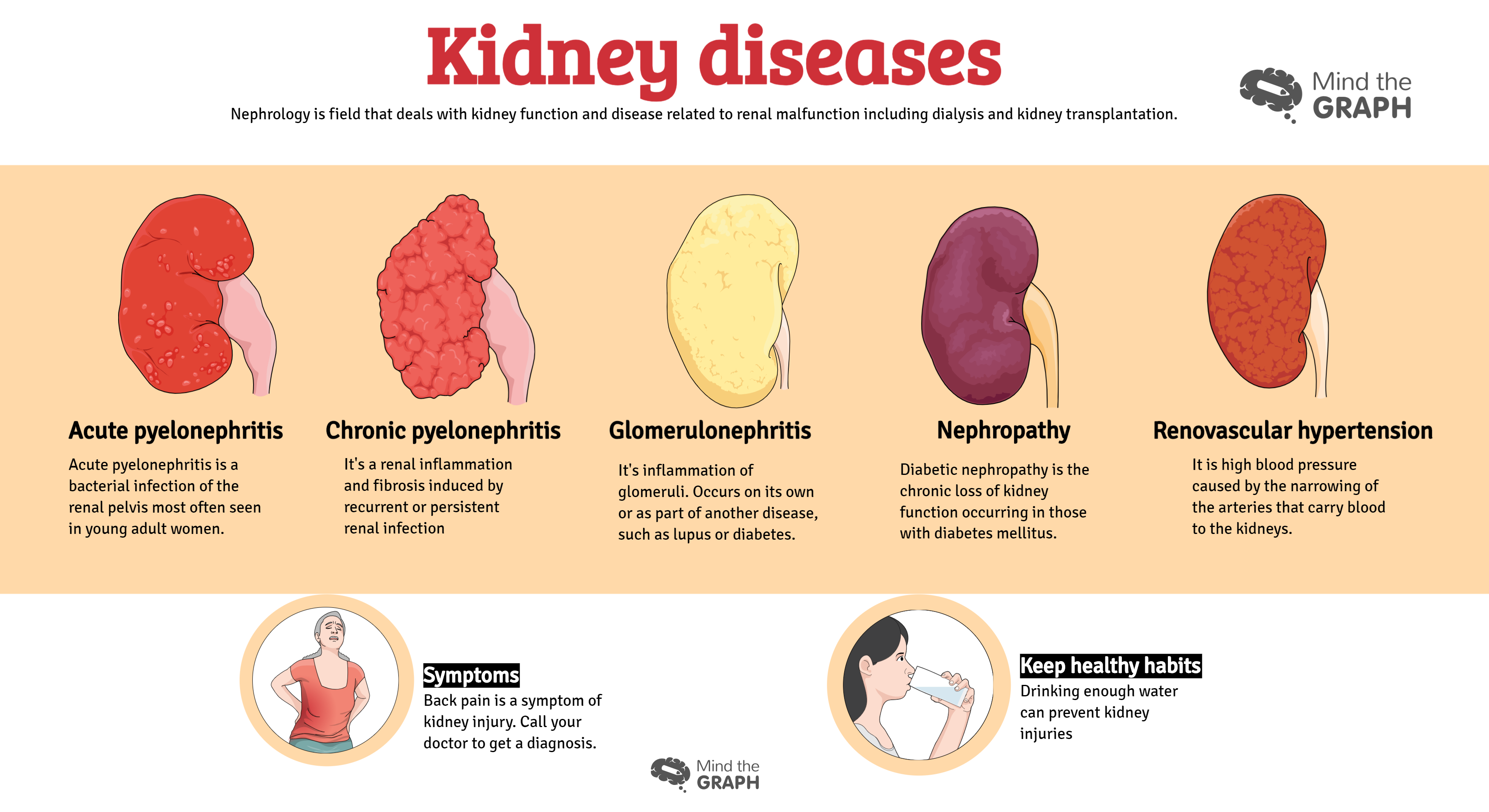 urinary-system-diseases-infographics-to-understand-by-mind-the-graph
