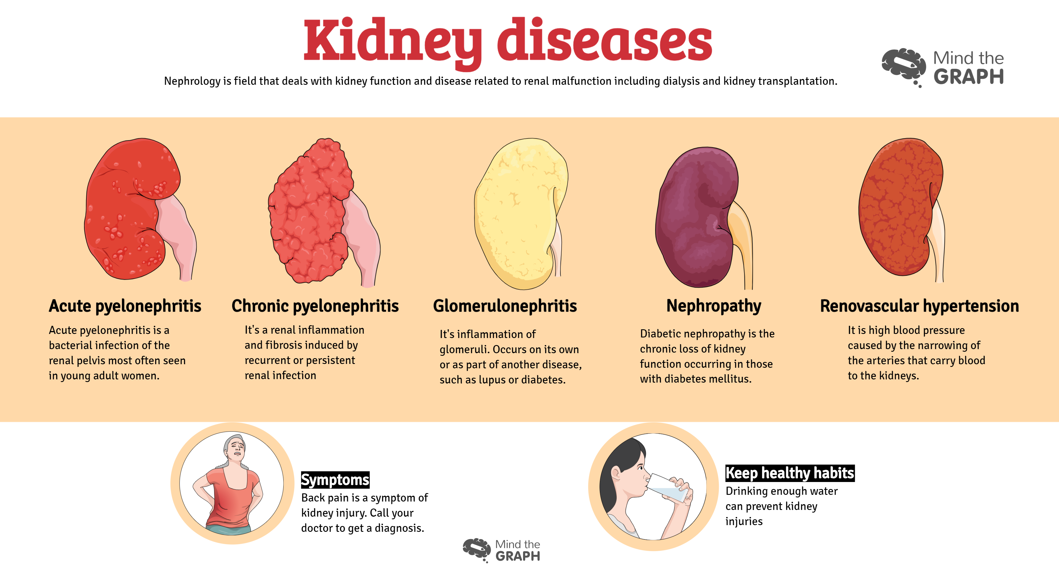 Urinary System Diseases Infographics To Understand By Mind The Graph 