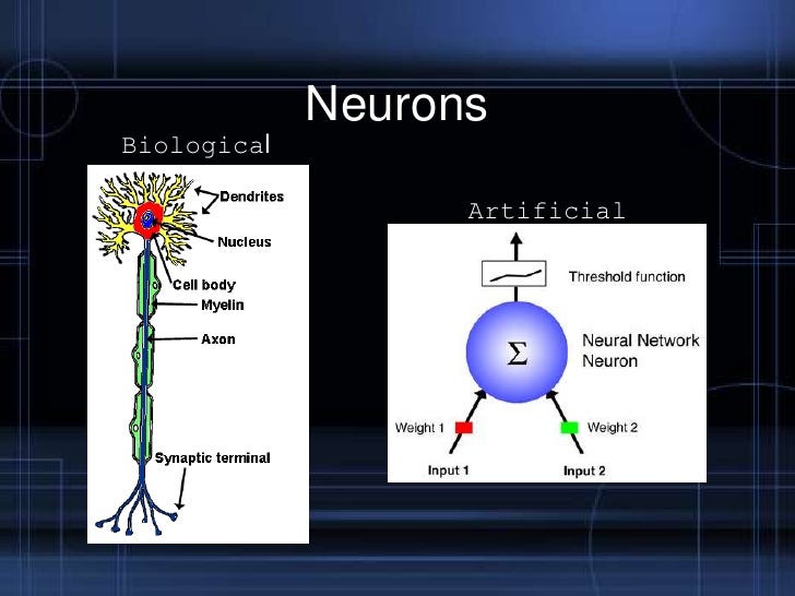 images Artificial Neural Network Algorithm Ppt artificial neural network a computing