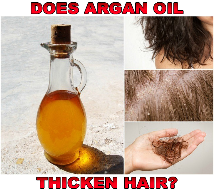 Does Argan Oil Thicken Hair Make Your Life Easier Medium