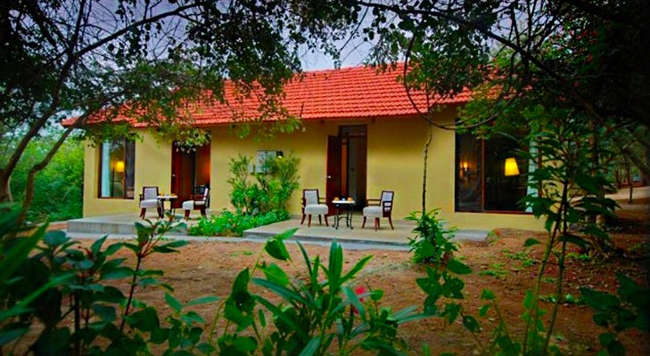 Experience The Uniqueness At Jim Corbett Cottages Resort
