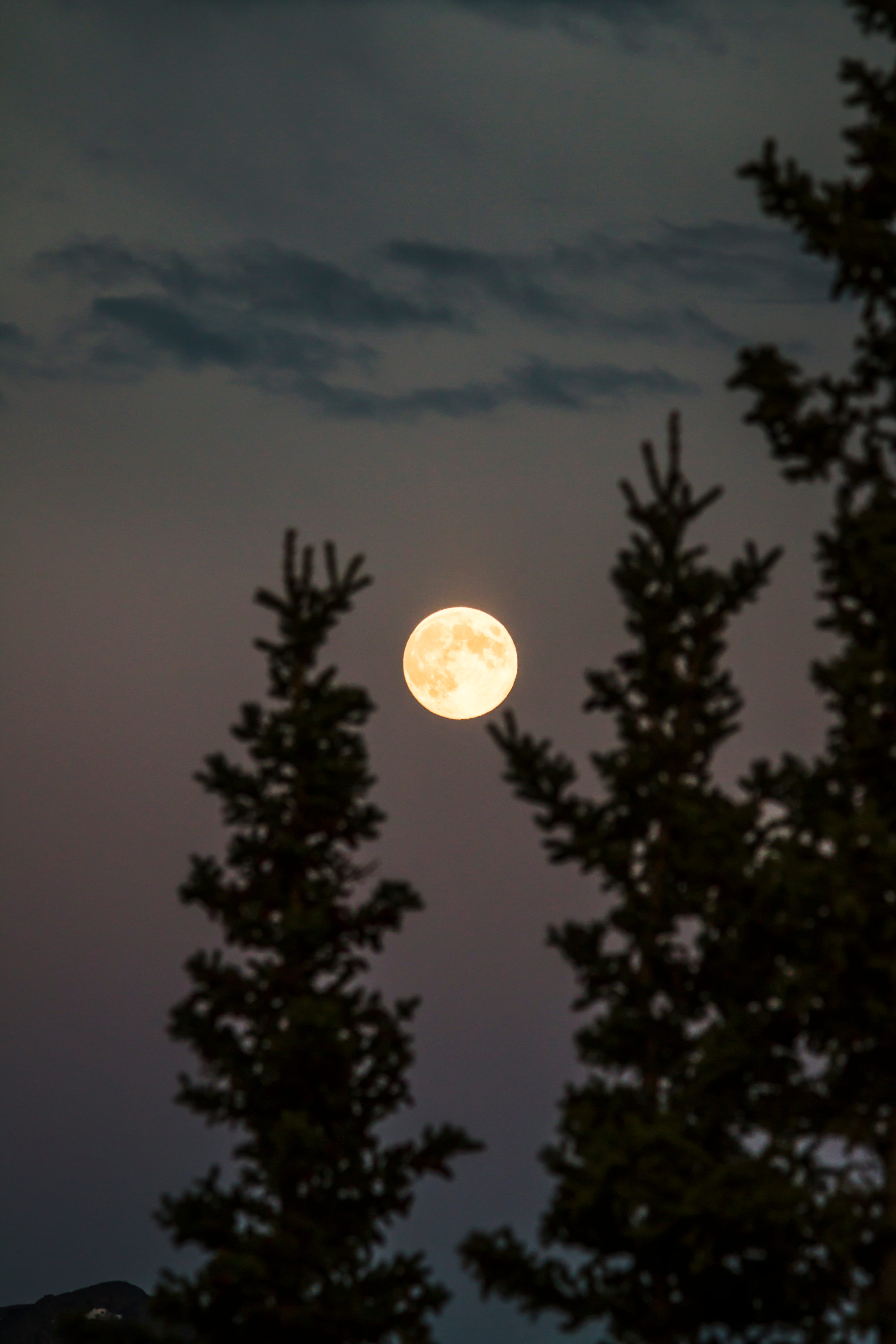 Naked Under The Moon Washing My Soul Clean By Elle Beau Sensual An Erotic Life Medium