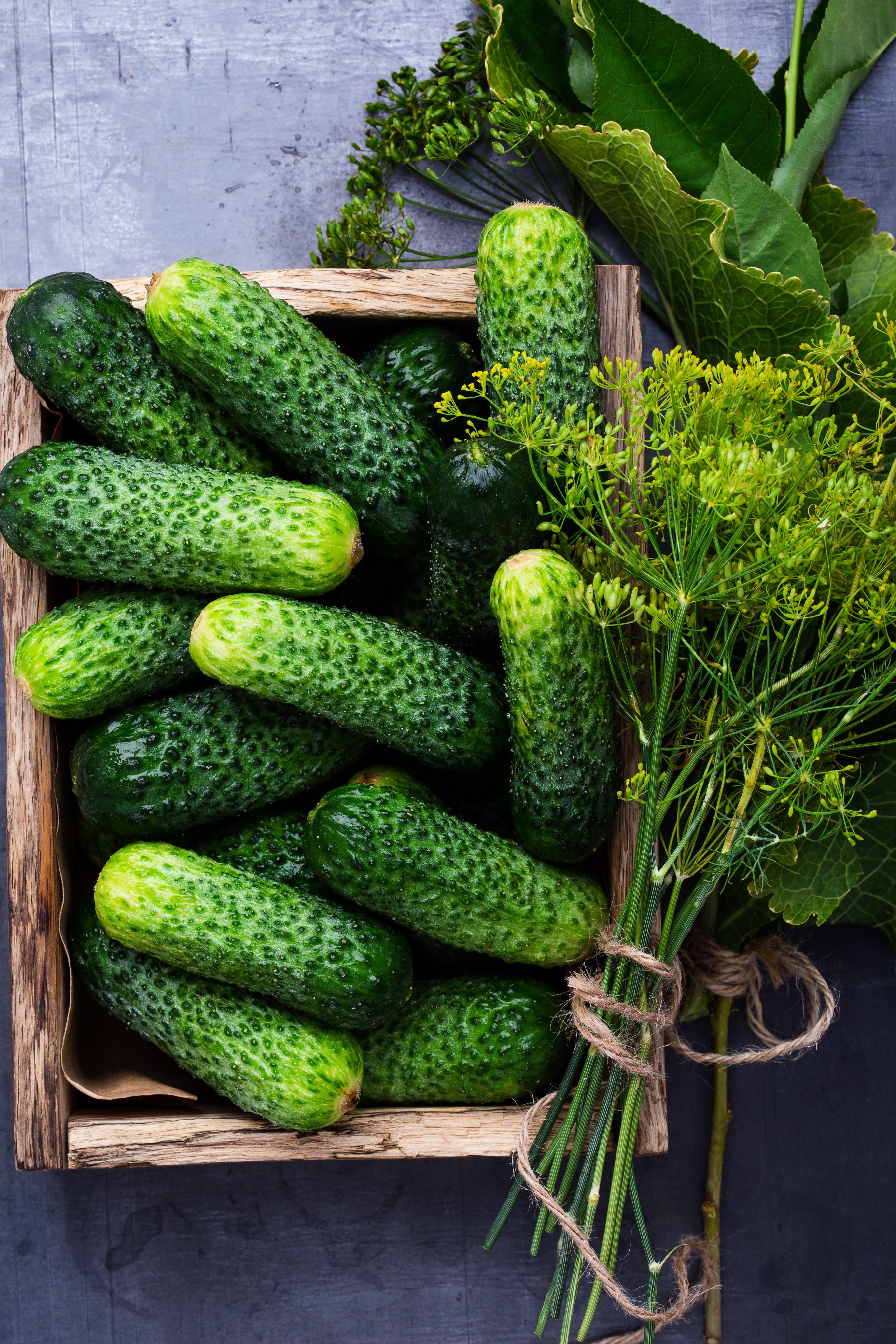 Overhead shot of a rustic square wooden basket filled with cucumbers and a bunch of fresh dill tied with a piece of twine.