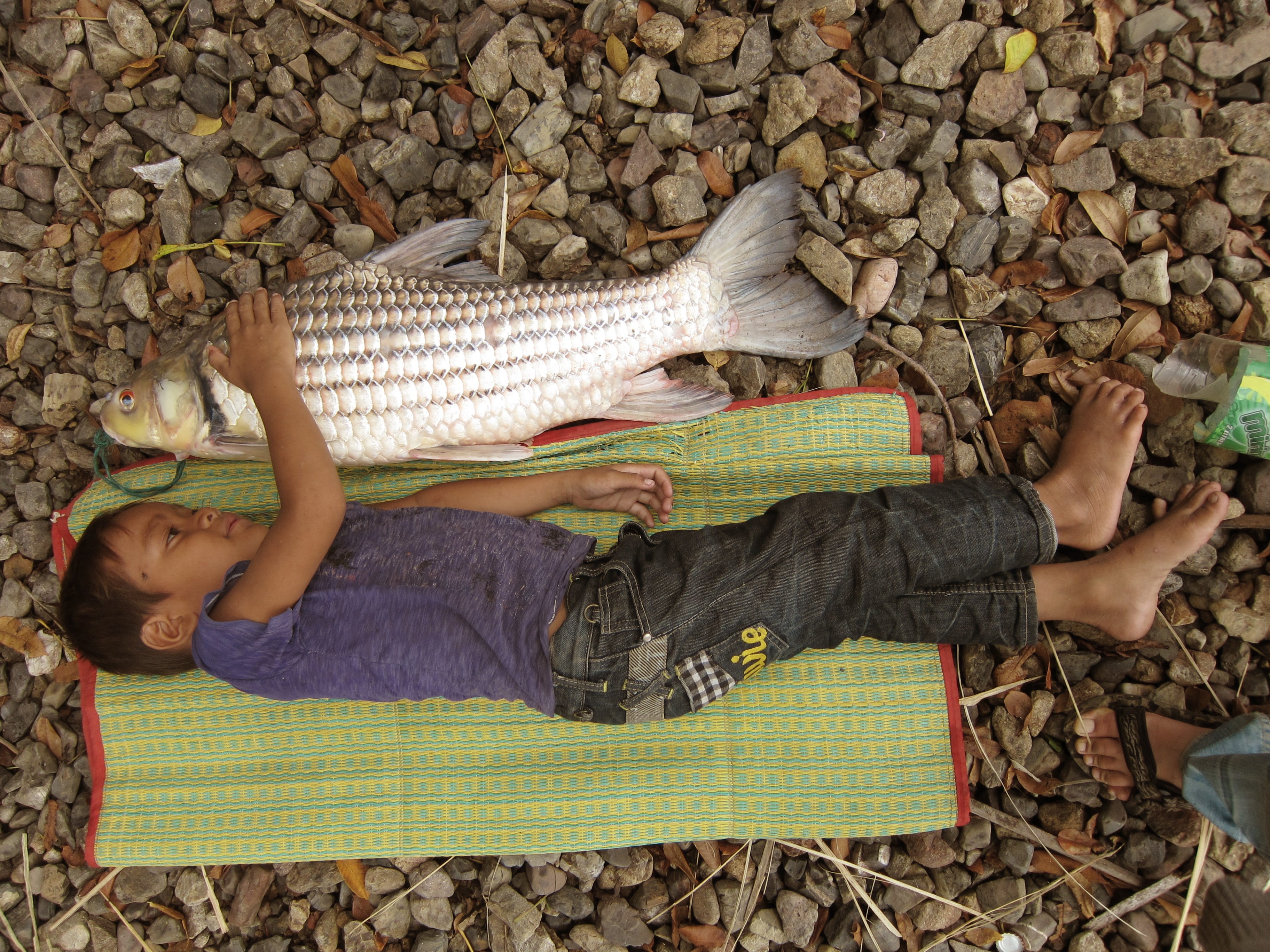 A Walk Along The Mekong River Of Life By Iap Medium