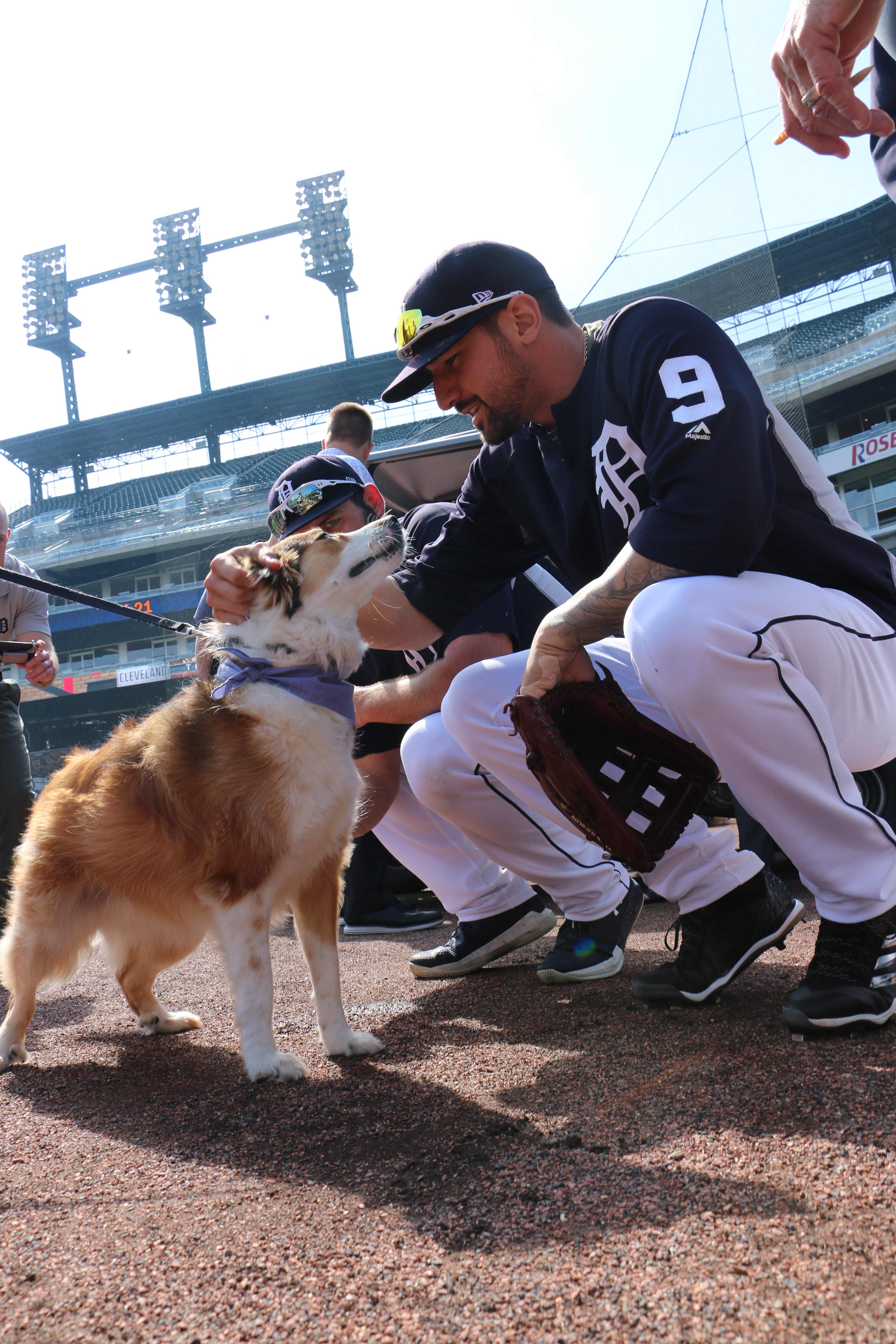 Bark at the Park Photo Gallery by Detroit Tigers Comerica Park, 48201
