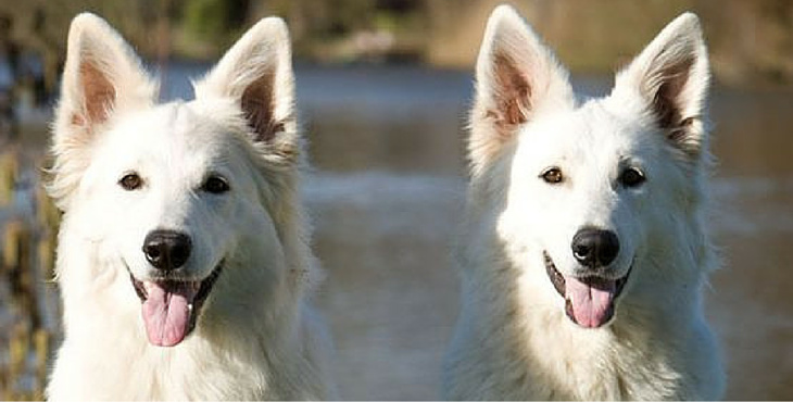 Reader Question: What should I do if a project sells in Hollywood ...