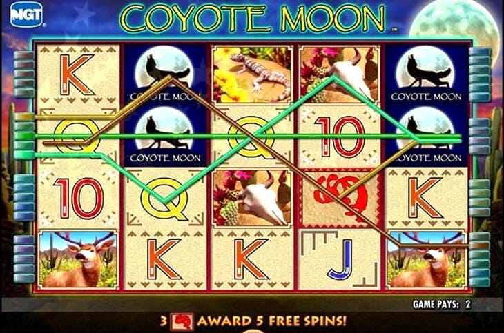 Coyote moon slots free