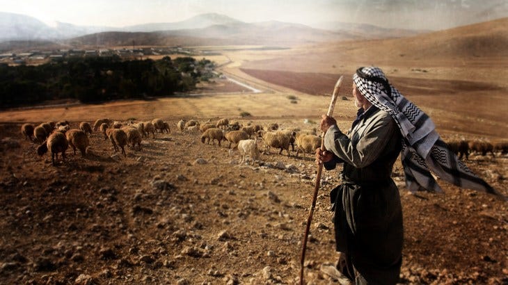 Leader And Protector Idiotes